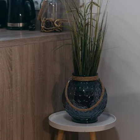 Apartmán Park Siska Lublaň