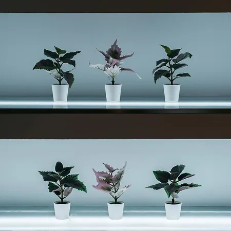 アパート Park Siska *