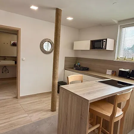 Apartament Park Siska Lublana