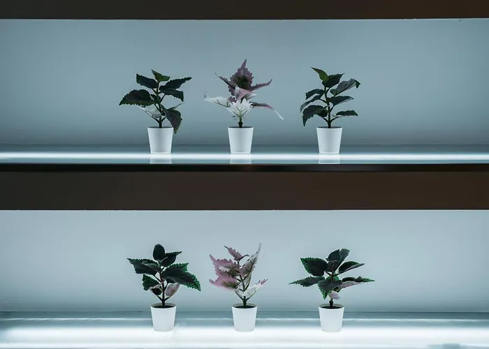 דירה Park Siska *